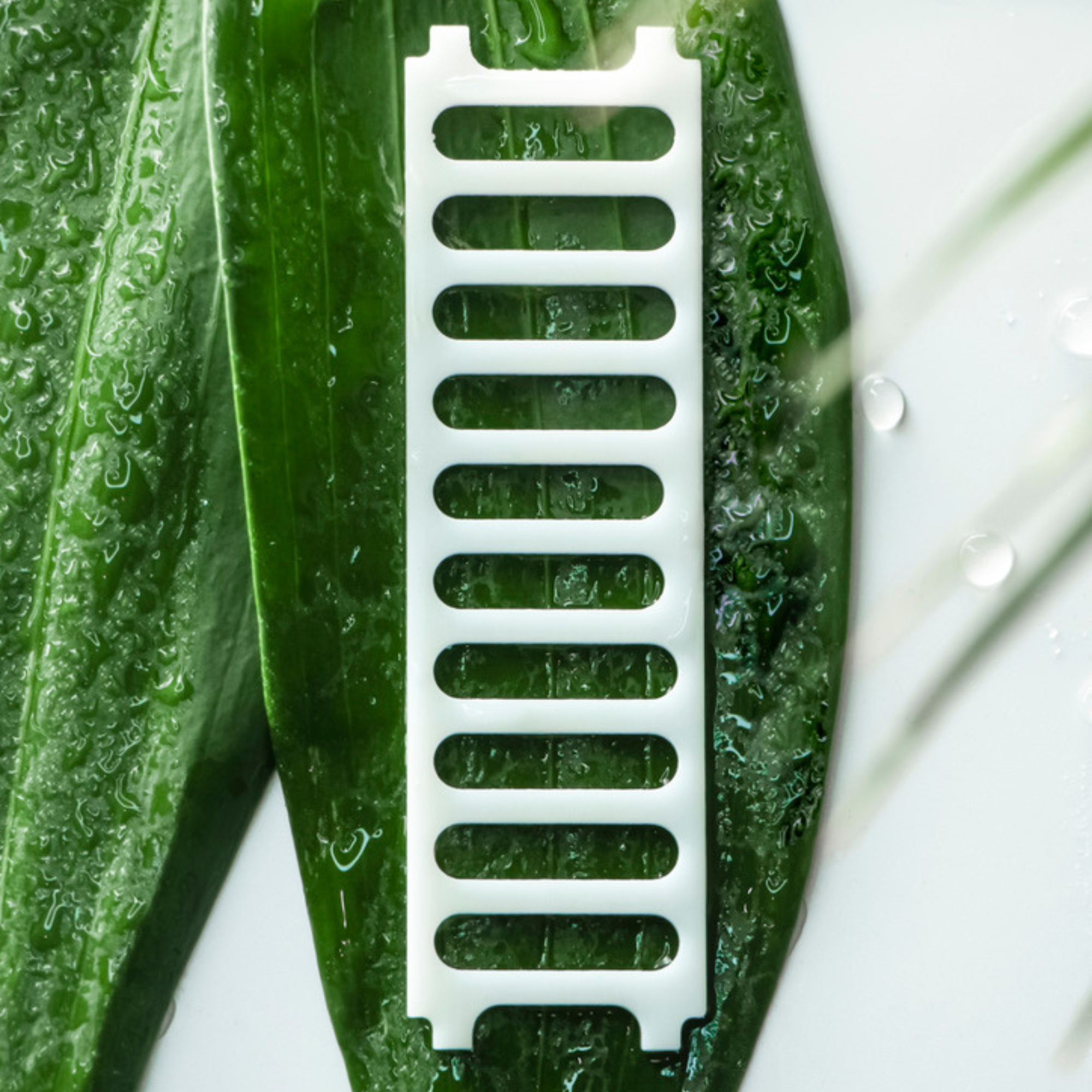 2-Pack Fragrance Inserts – Lime Breeze